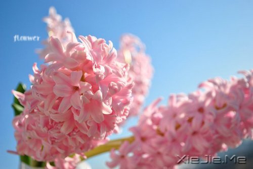 找一个理由,去否认忧伤 (6)