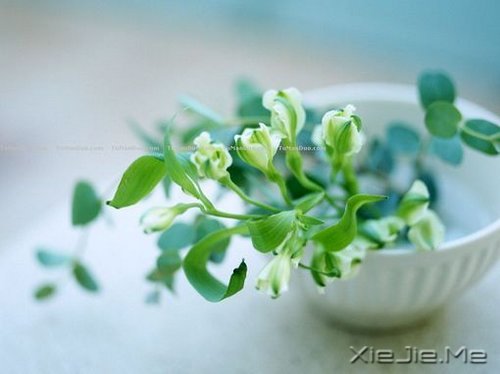 生命是一首悲欢交集的歌,我们都是那个唱歌的人 (1)