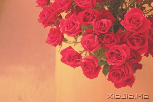 生命是一首悲欢交集的歌,我们都是那个唱歌的人 (3)
