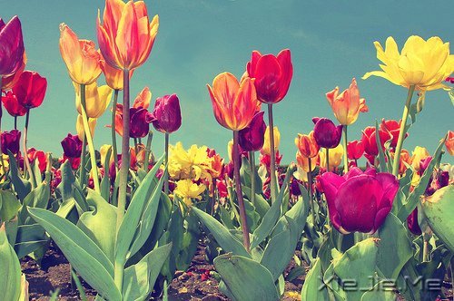 �������յ㣬��΢Цһֱ��ǰ (1)