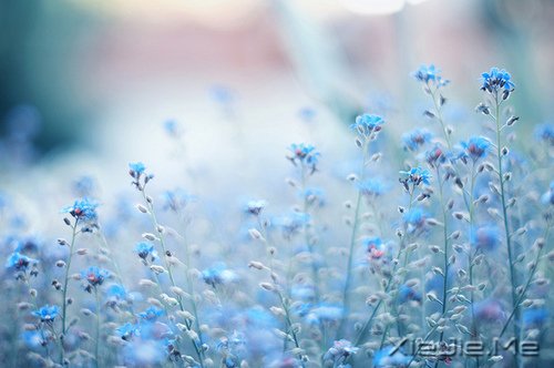 �簲�����һյ�ƣ��������� (7)