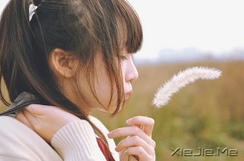 晚安心语:如果你从未放弃,现实远比梦想美好 (10)