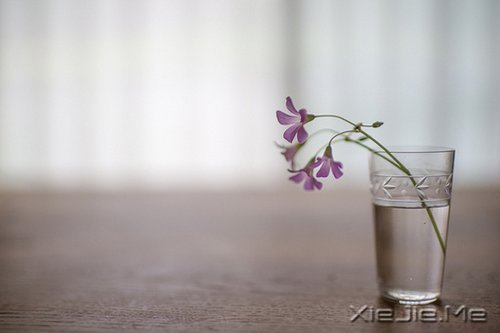 �簲���������Ҳ��ǿ������� (6)