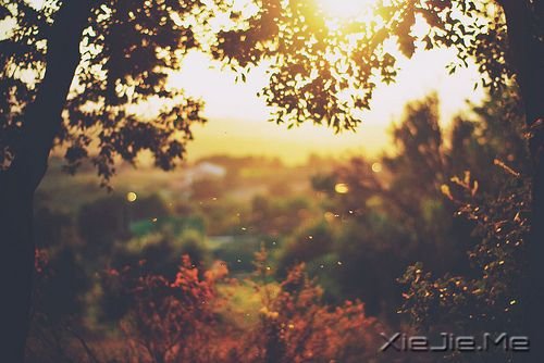 �簲������������ˣ����Ҹ���· (4)