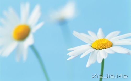 �簲������������������������������ (3)
