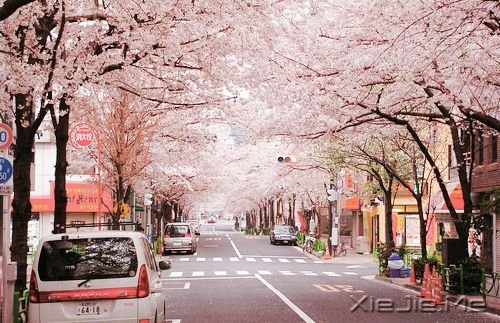 �簲���ֻҪ�����ߣ��ܻῴ������ (9)