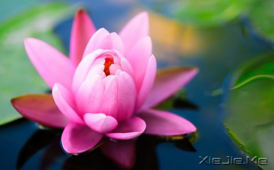 ���֣�Ҫ������ʮ���� (6)