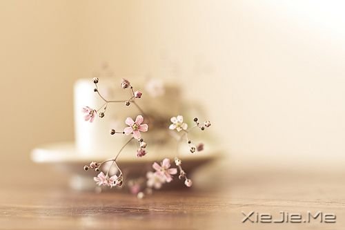 ��־���£���ֲ�и��ֱ���ɹ� (2)