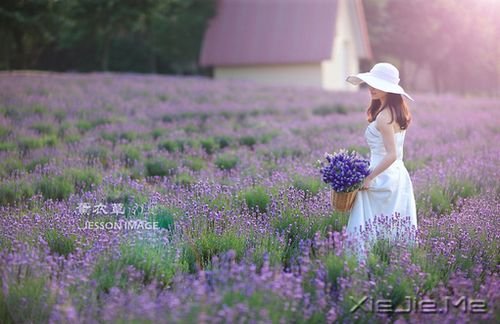 ��Ϊ��Ů�ӣ����Զ��� (2)
